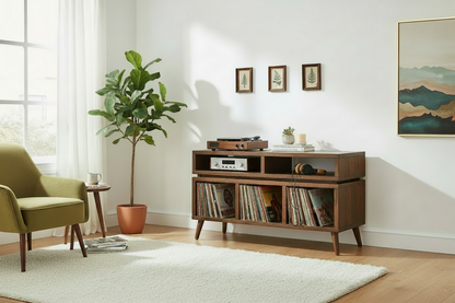 Turntable and Record Cabinet Made with Solid Wood