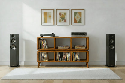 Double Tier Vinyl Record Storage Unit - Turntable Stand