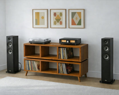 Double Tier Vinyl Record Storage Unit - Turntable Stand