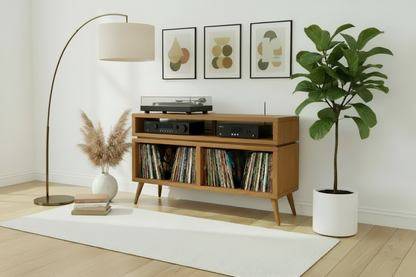 Double Tier Vinyl Record Storage Unit - Turntable Stand