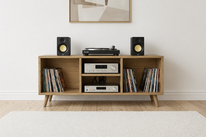 Audio Storage Unit Made with Solid Wood