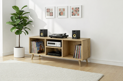 Audio Storage Unit Made with Solid Wood