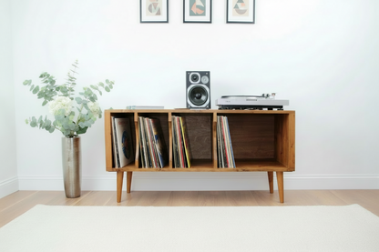 Industrial Wooden Record Stand & Vinyl Storage Cabinet | TV Unit