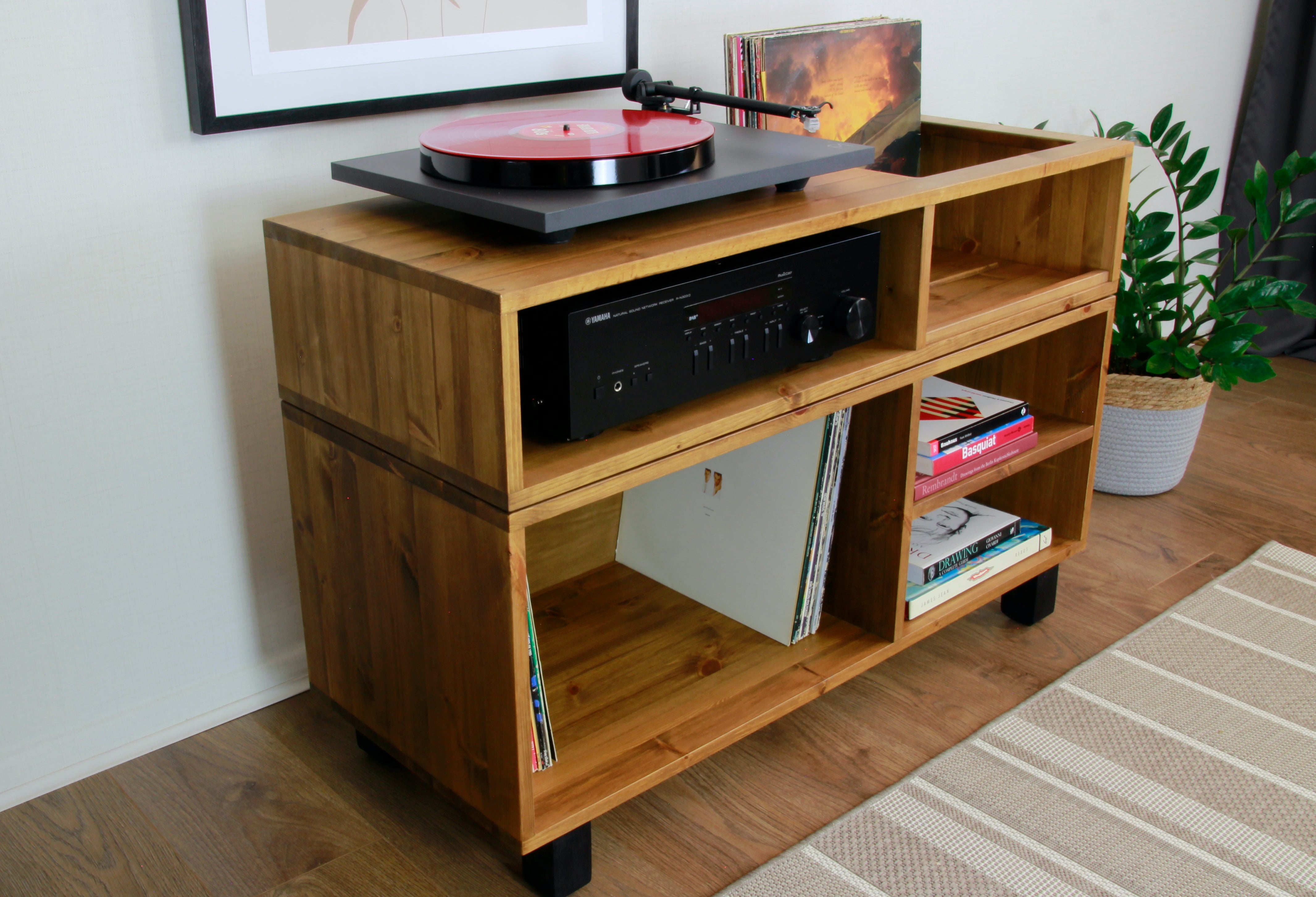 Media cabinet store with record storage